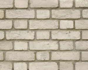 For Paint (FP)