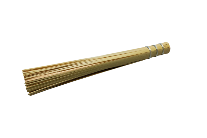 CSP-SAS1