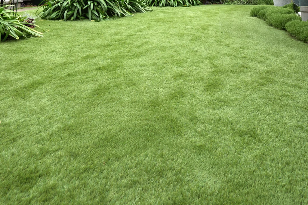 芝生　人工芝生　エクステリア