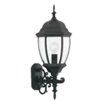 SATIN PLATINUM CLEAR GLASS OUTDOOR LIGHTING CAN2432-BK