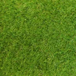 人工芝GREEN VIGOR GREEN_VIGOR