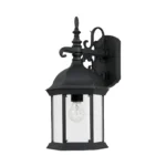 MATTE BLACK CLEAR GLASS OUTDOOR LIGHTING CAN2971-BK