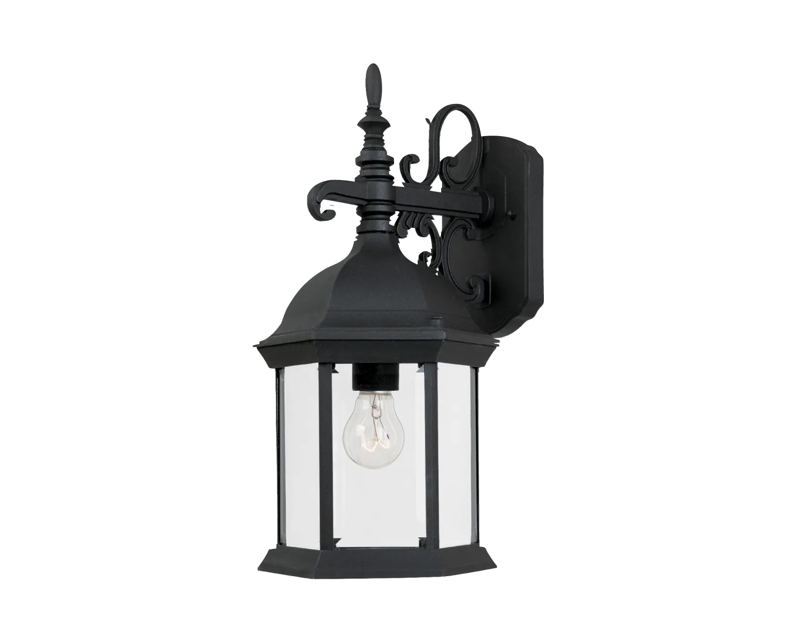 MATTE BLACK CLEAR GLASS OUTDOOR LIGHTING CAN2971-BK