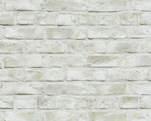 SHIRO BRI