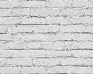 SHIRO BRI