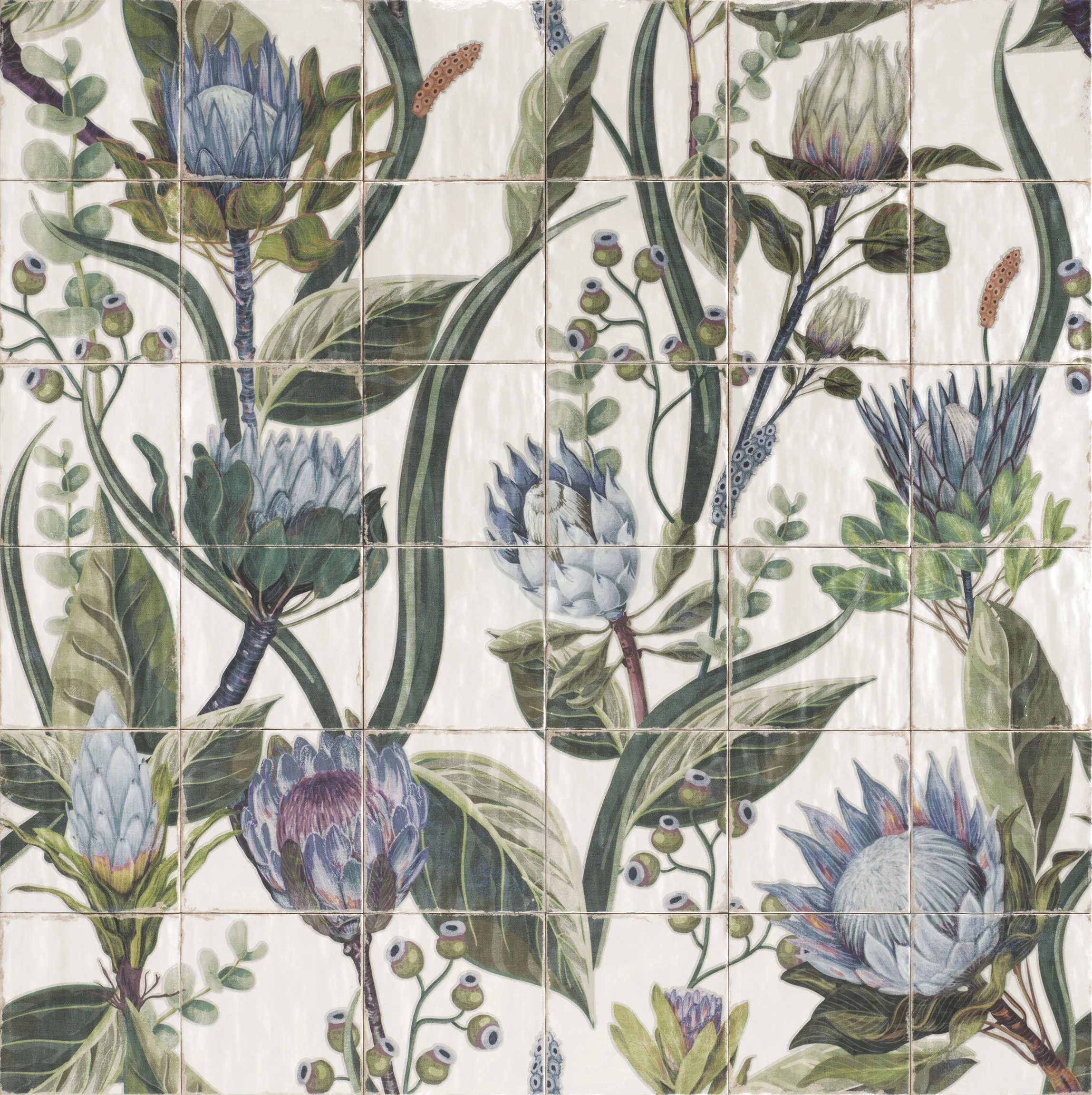 MURAL PROTEA